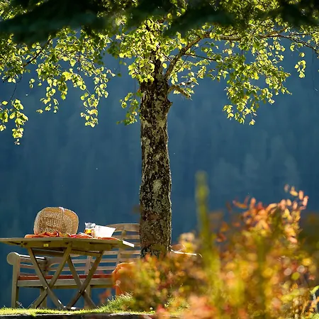 سان أوزولد 4* سانكت أوسوالد